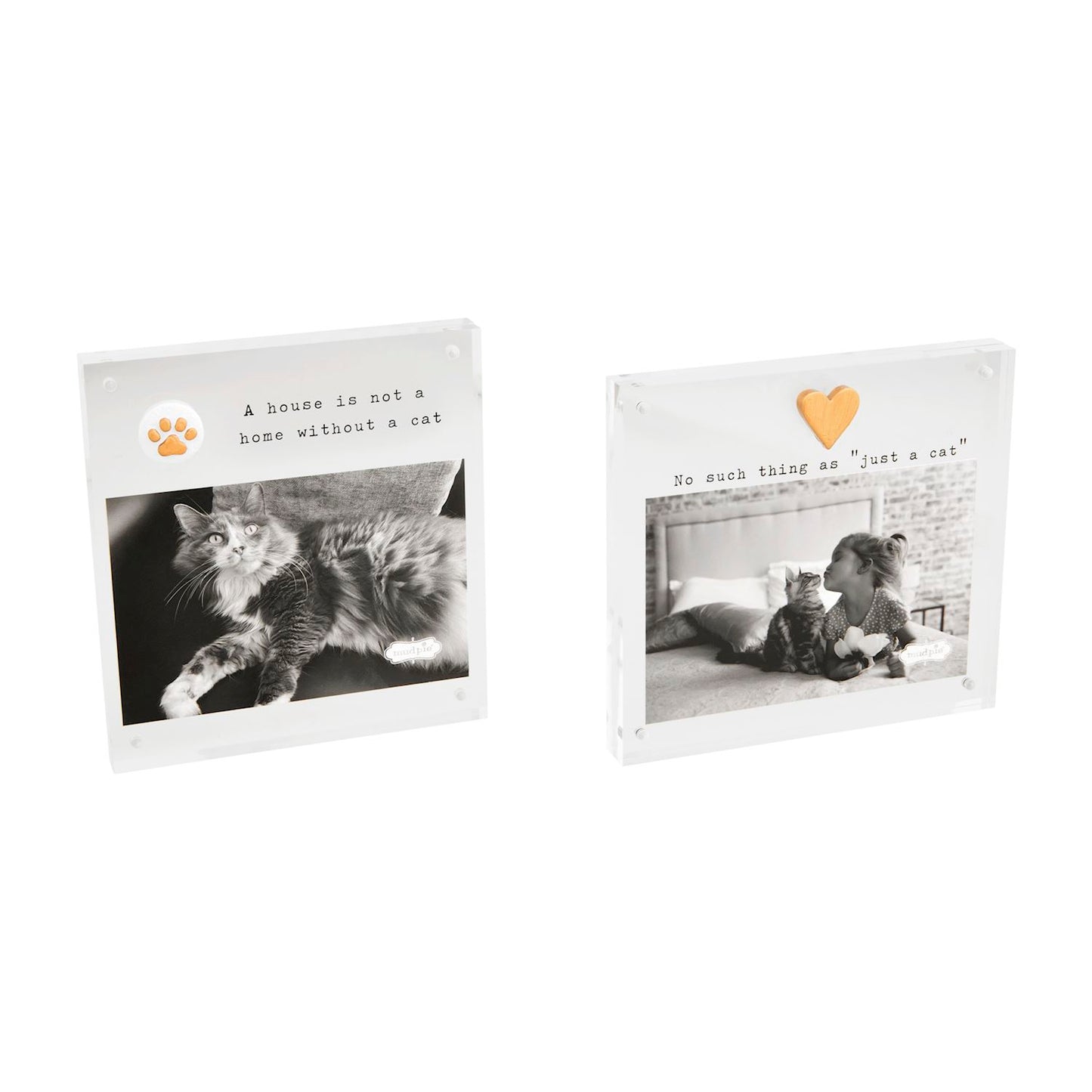 Cat Acrylic Frames