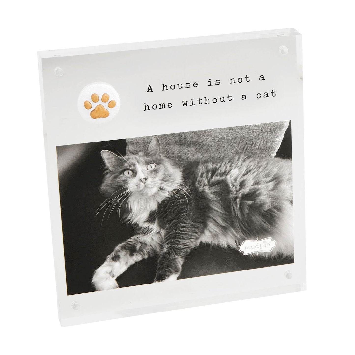 Cat Acrylic Frames