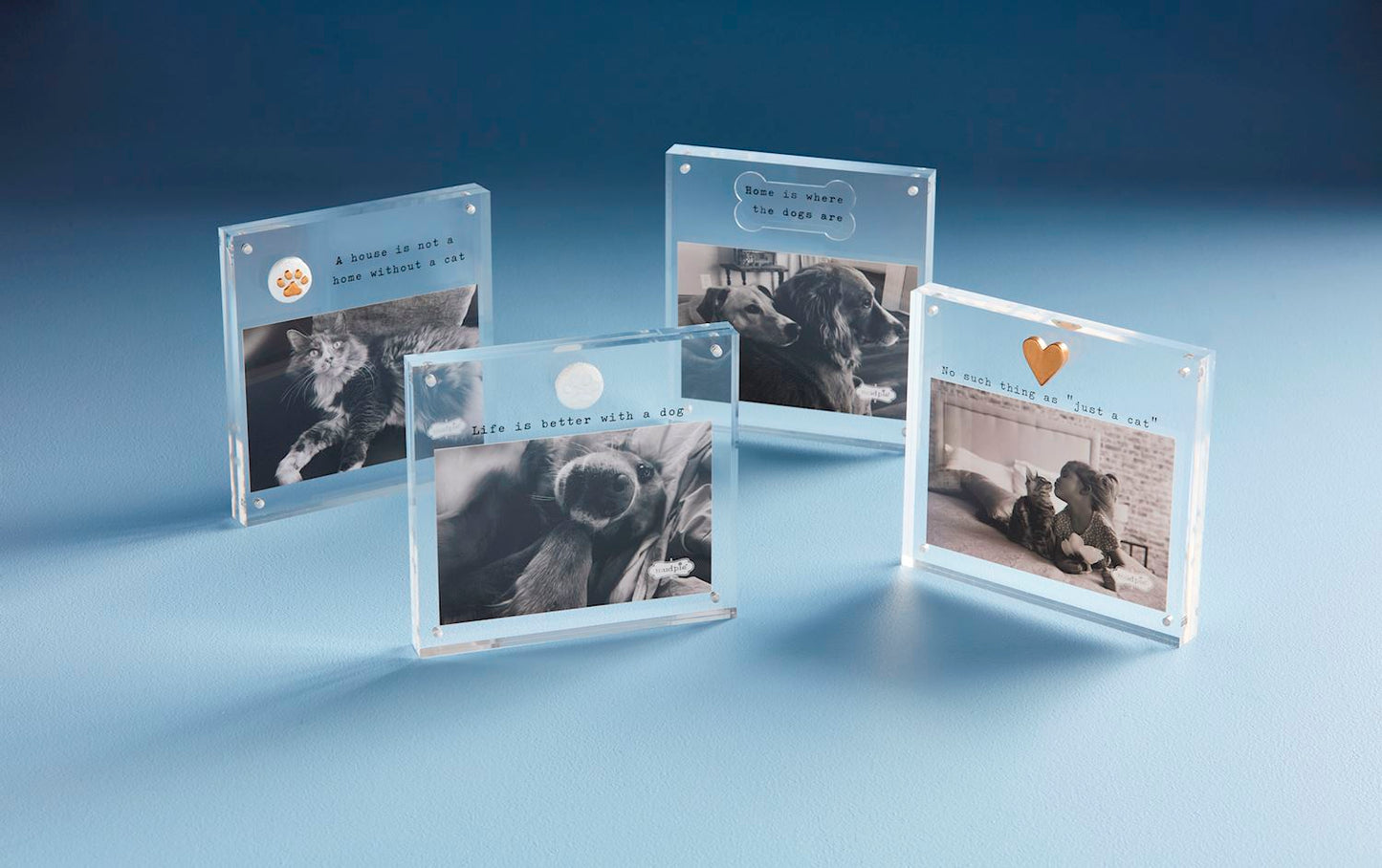 Cat Acrylic Frames