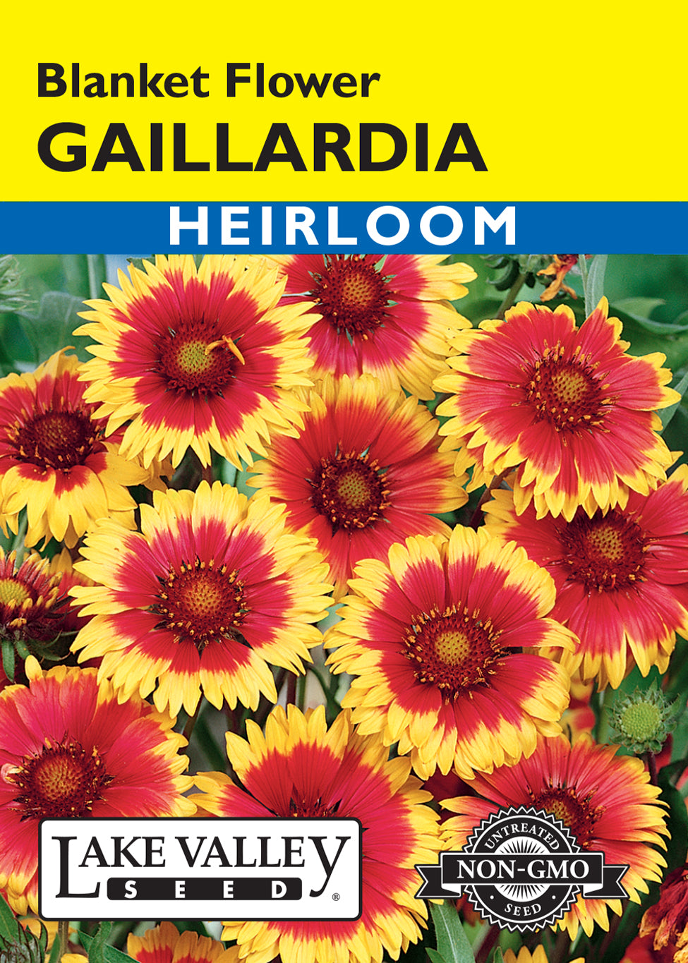 Gaillardia Blanket Flower Seeds