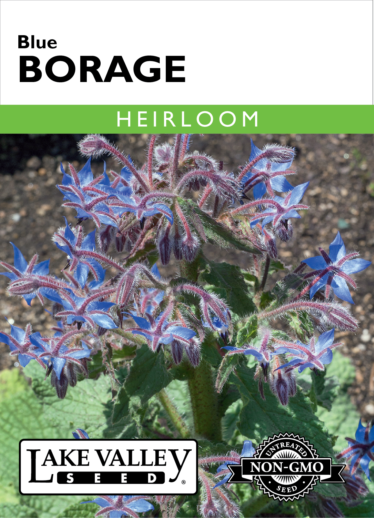 Borage Blue Seeds