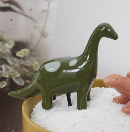 Dinosaur Friends Plant Sticks