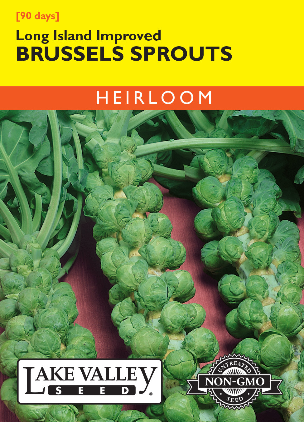 Brussels Sprouts Long Island Improved Seeds