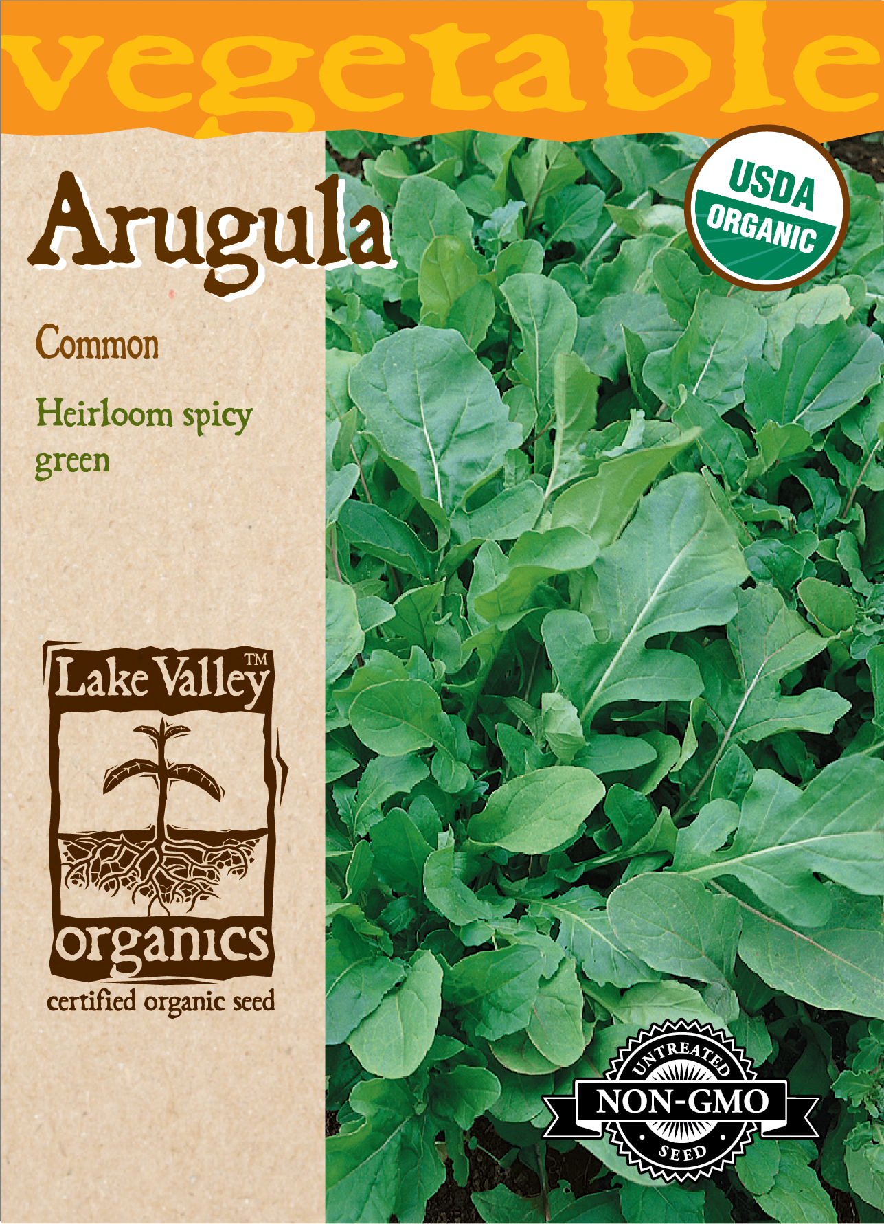 Organic Arugula Common Seeds
