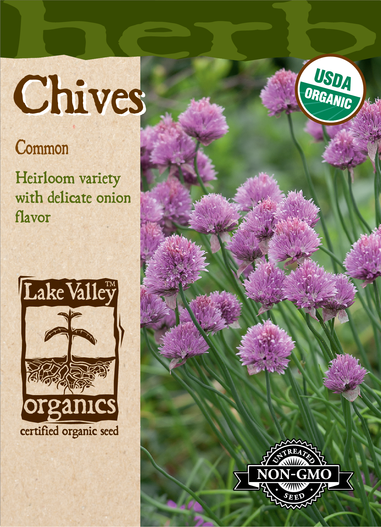 Organic Chives Common Seeds