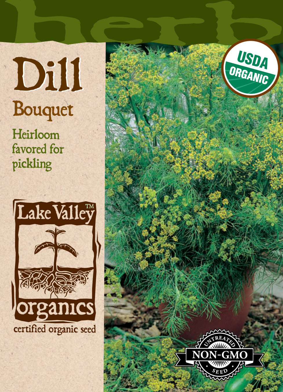 Organic Dill Bouquet Seeds