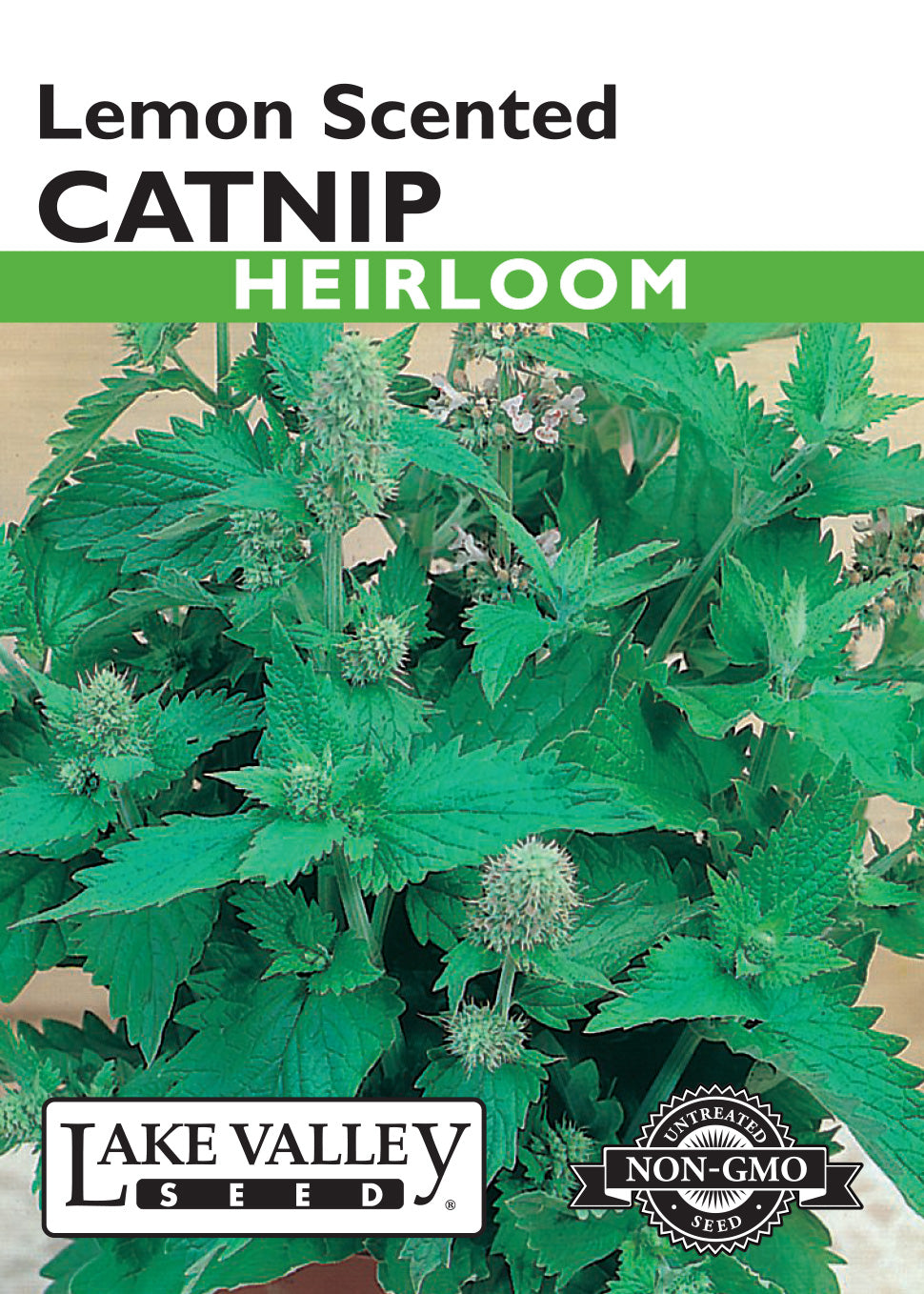 Catnip Lemon Scented Seeds