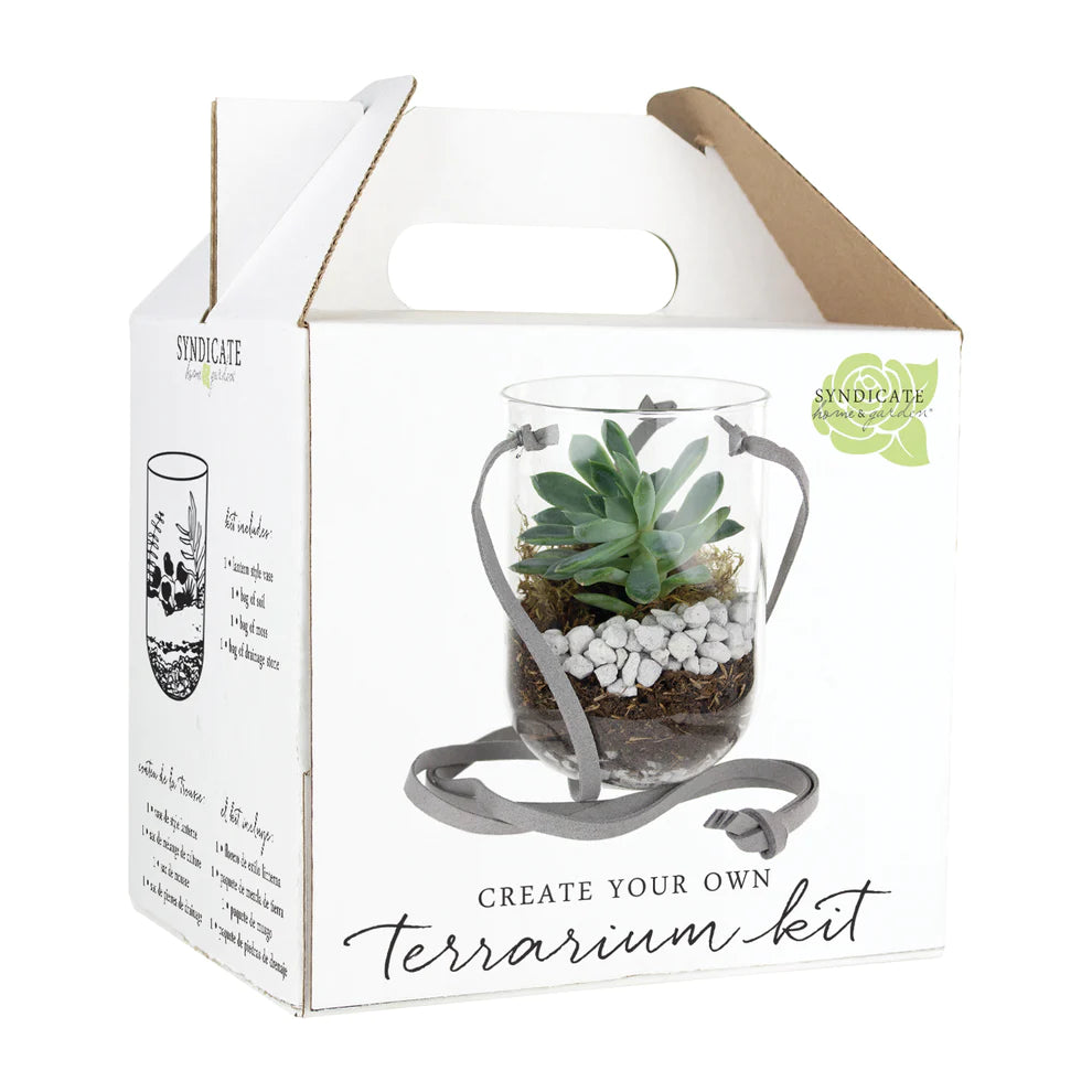 terrarium planter kit dunnes stores Capsule Terrarium Kit for Indoor Plants