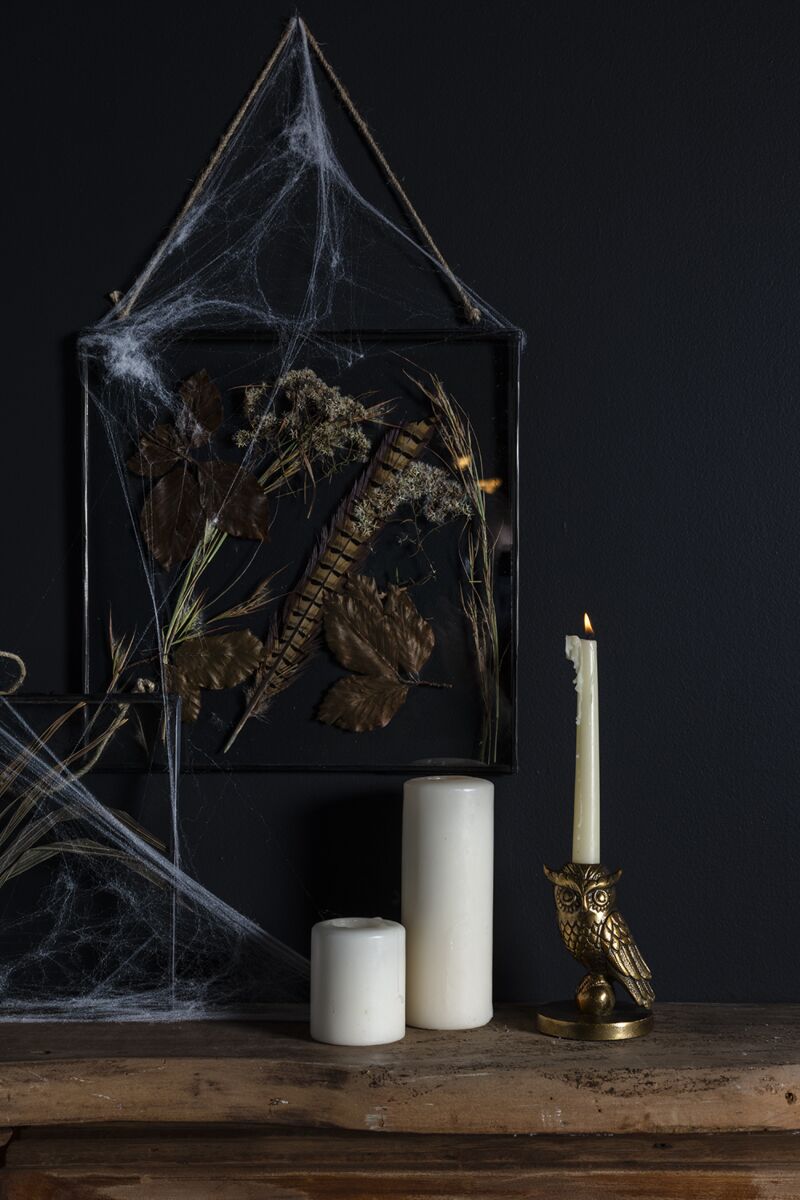 Strix Candle Holder
