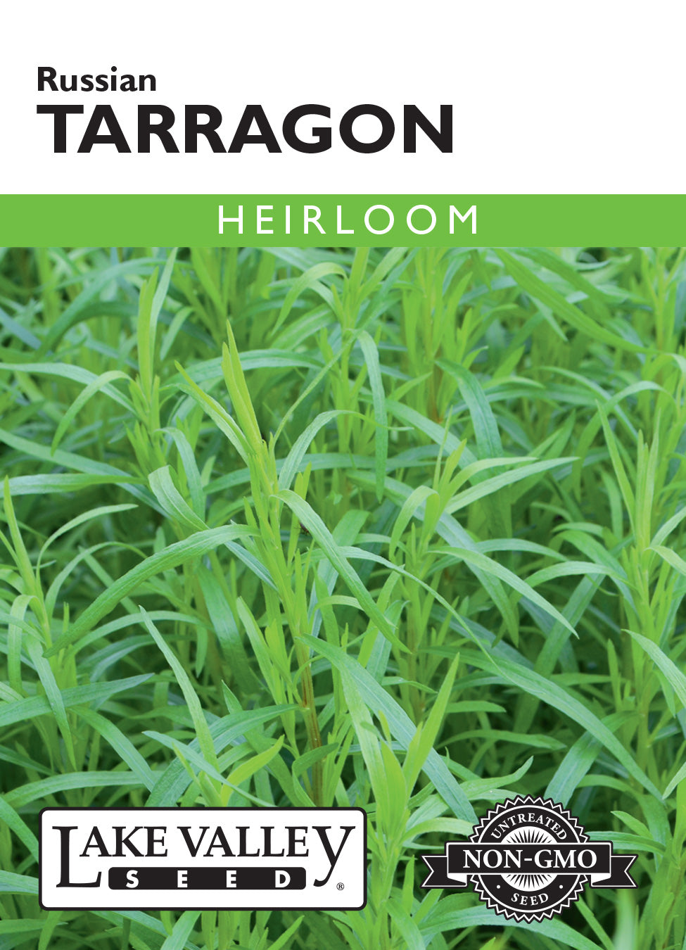Tarragon Seeds