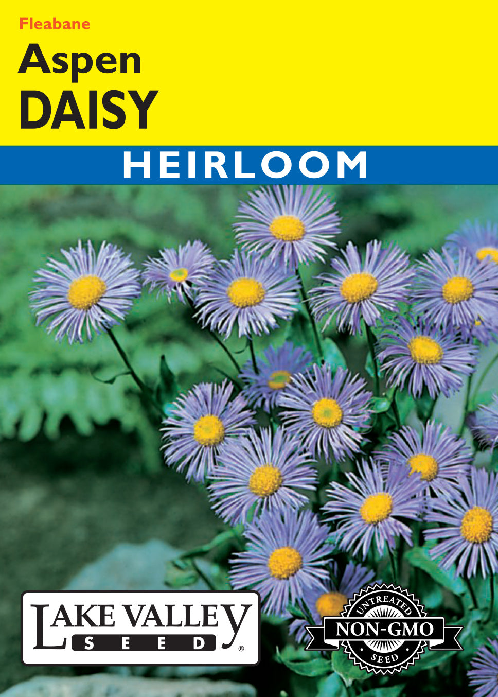 Daisy Aspen (Fleabane) Seeds