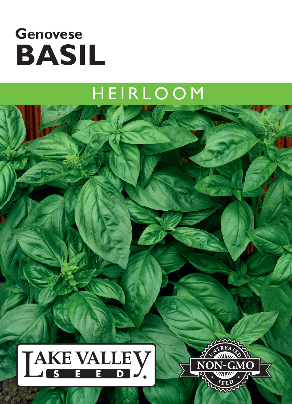 Basil Genovese Seeds