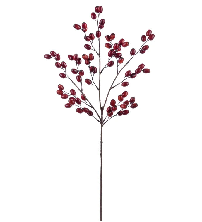 Burgundy Berry Spray