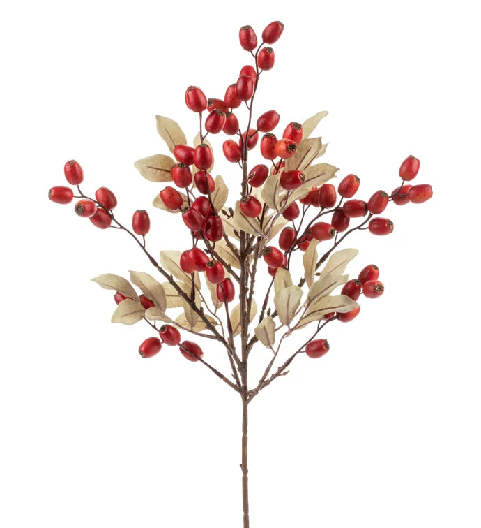 Orange Berry Leaves Spray