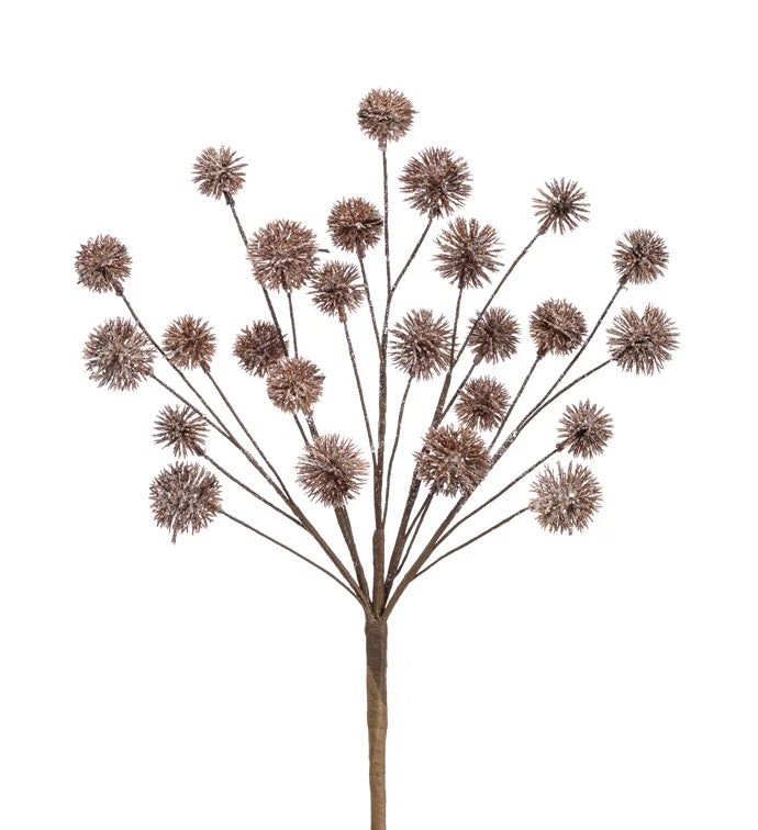 Brown Thistle Spray