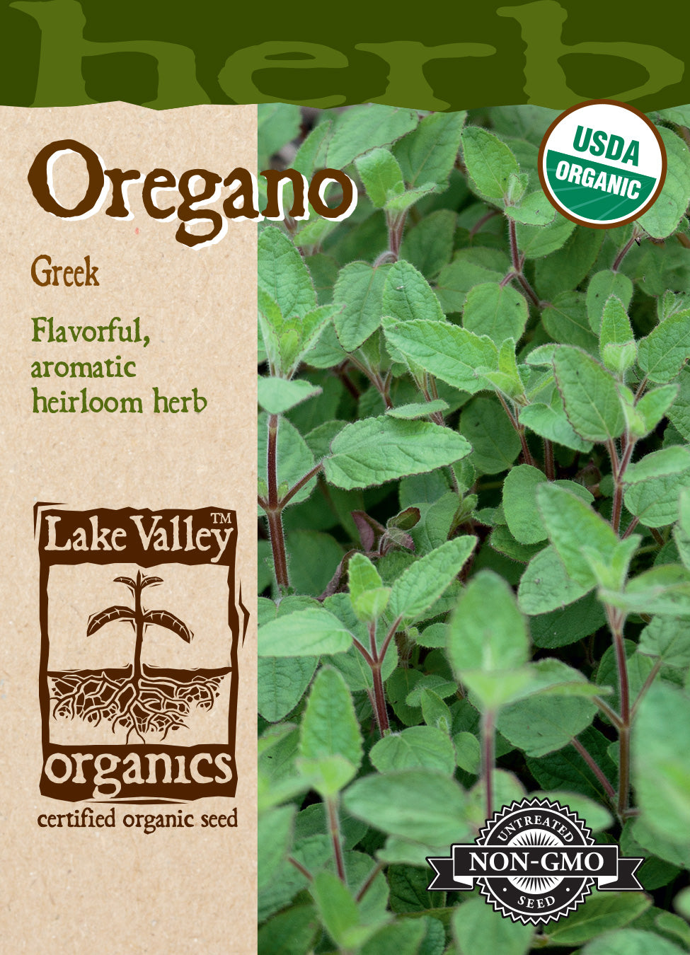 Organic Oregano Greek Seeds