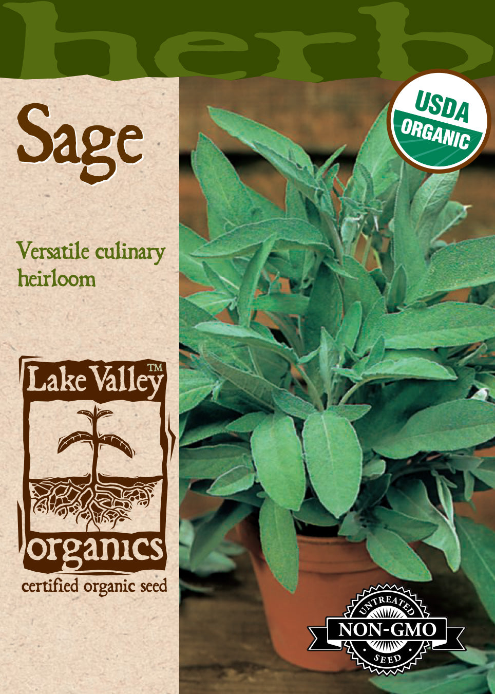 Organic Sage Broadleaf Seeds