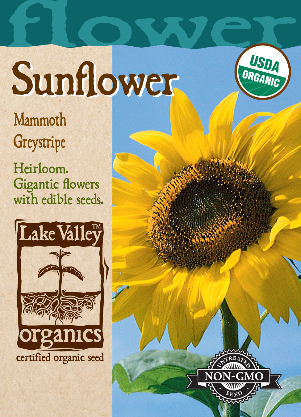 Organic Sunflower Mammoth Greystripe Seeds