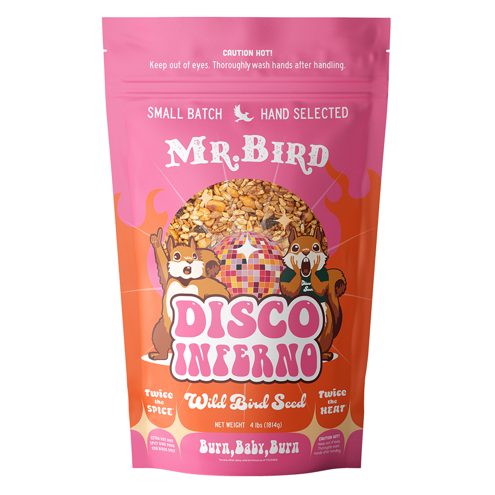 Disco Inferno Bagged Seed Large 4lb