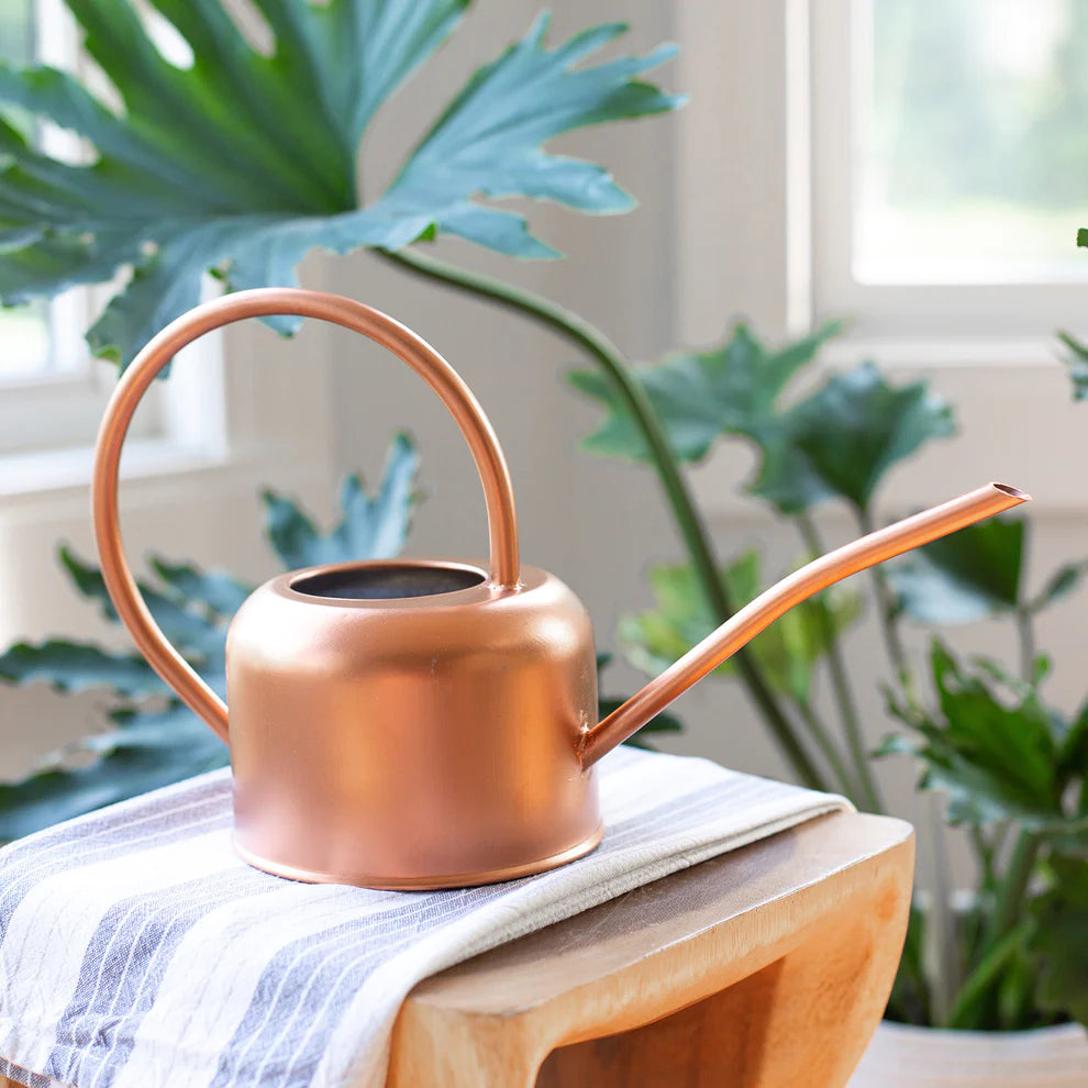 Loop Watering Can