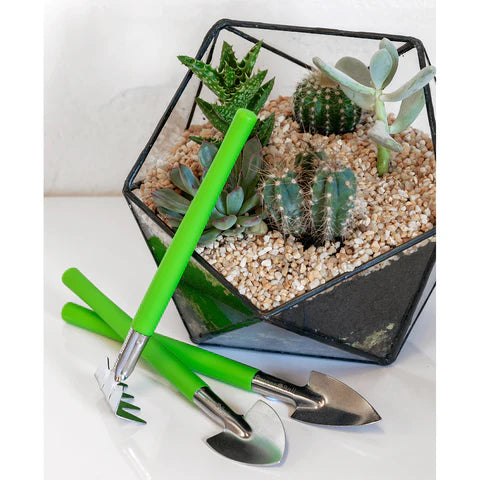 house plant tool set Houseplant & Terrarium Tool Set