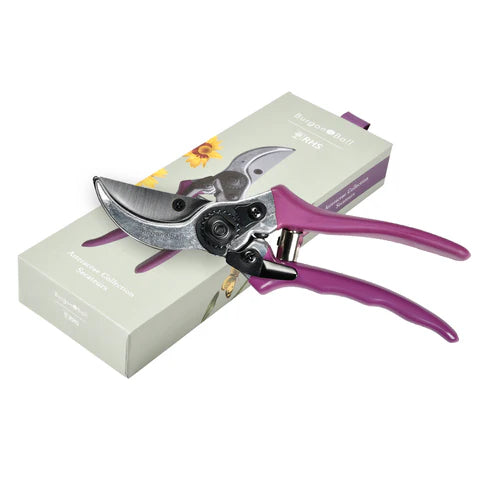 Boxed Asteraceae Secateur