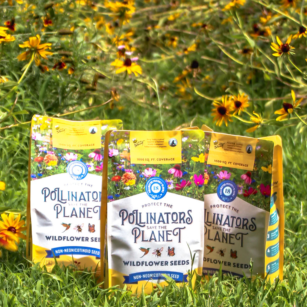 1 lb wildflower seeds Pollinator Wildflower Seeds 1lb