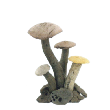 Driftwood Mushroom