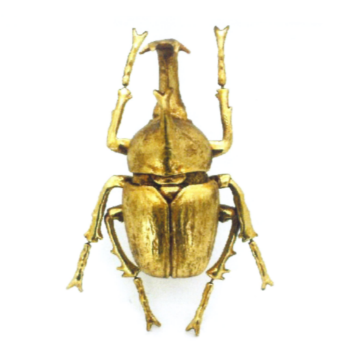 Gold Beetle Wall Decor