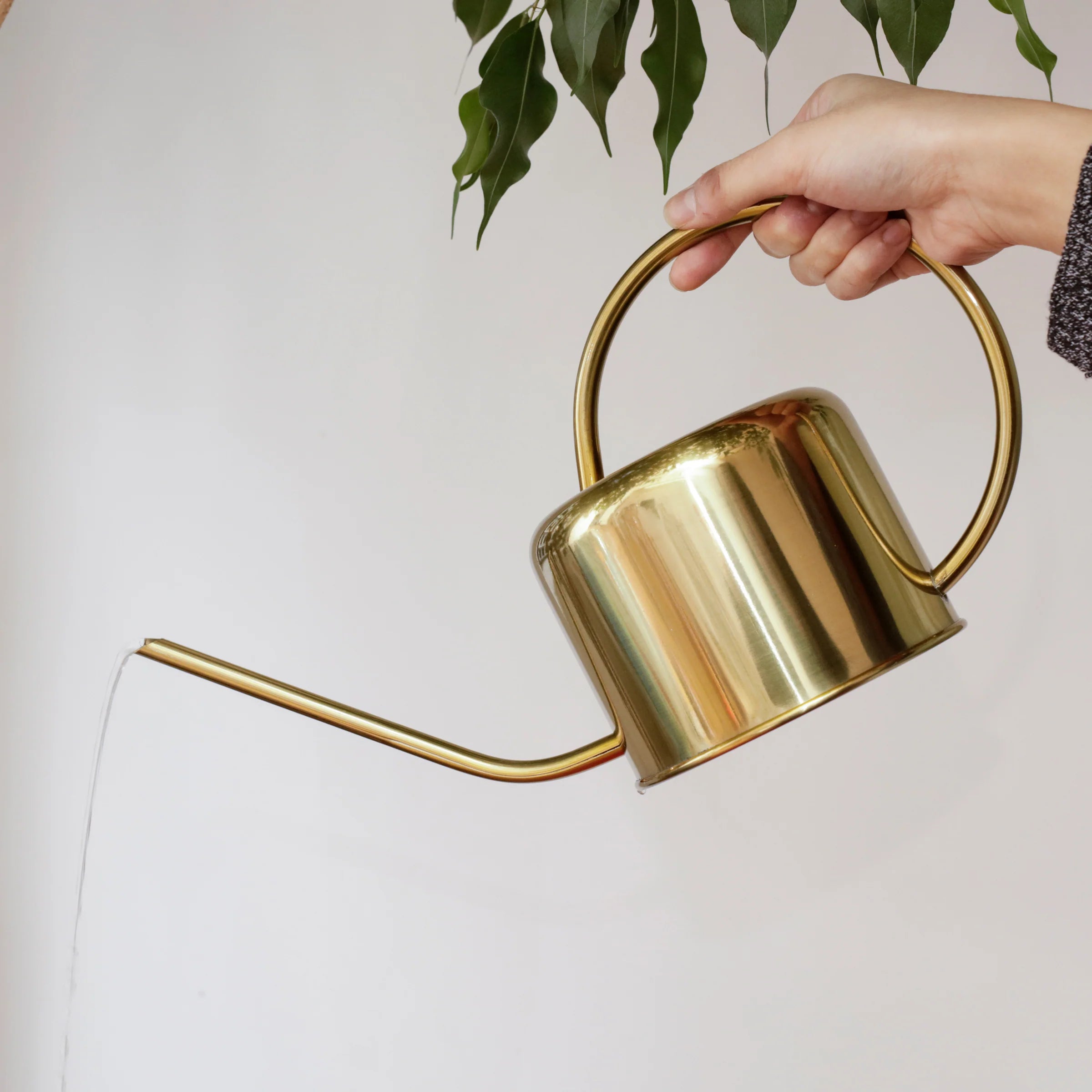 small watering can indoor plants Brass Vintage Watering Can