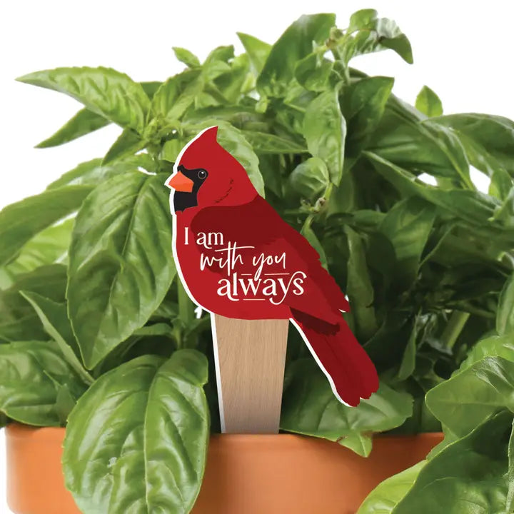 I Am With You Plant Pal