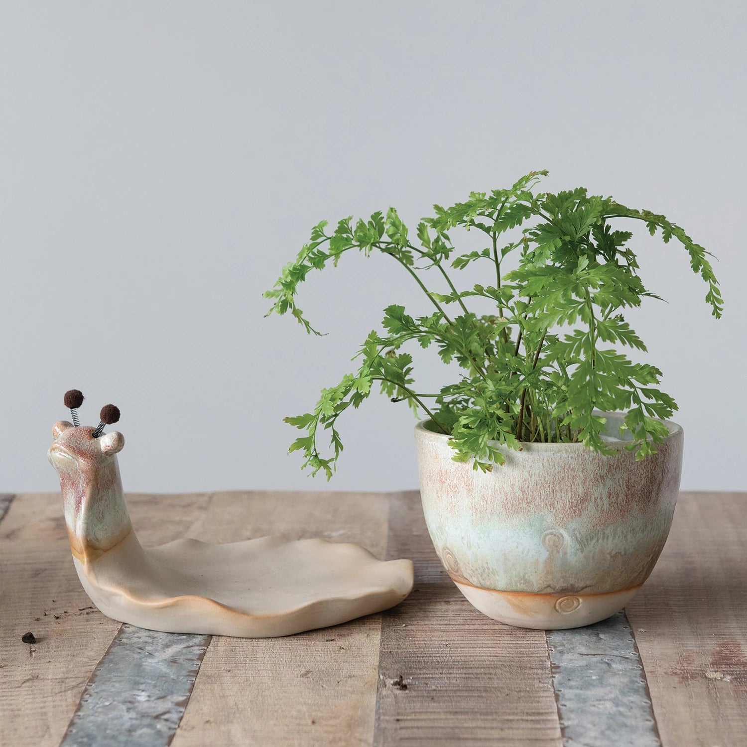 snail pot plant Stoneware Snail Planter with Glaze