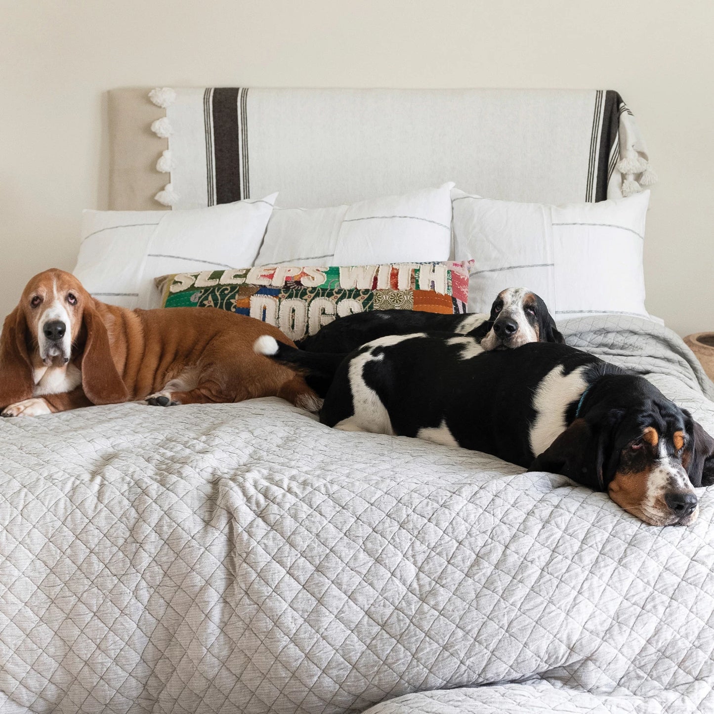 36"x14" Sleep with Dogs Lumbar Pillow