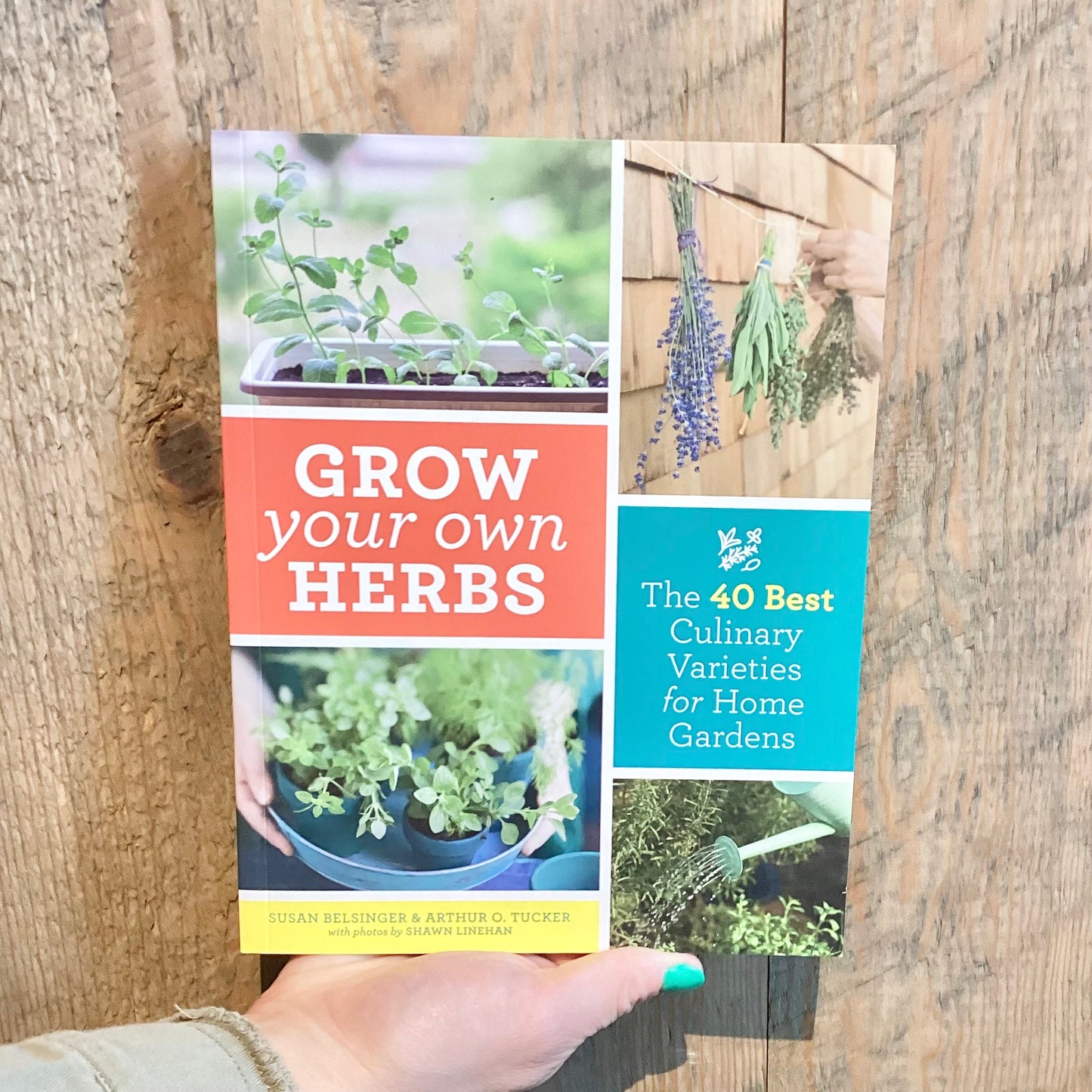 Grow Your Own Herbs