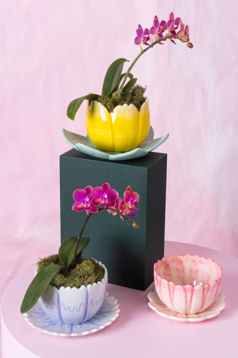 ceramic flower pots with saucers Little Ceramic Flower Pot for Indoor & Outdoor Plants