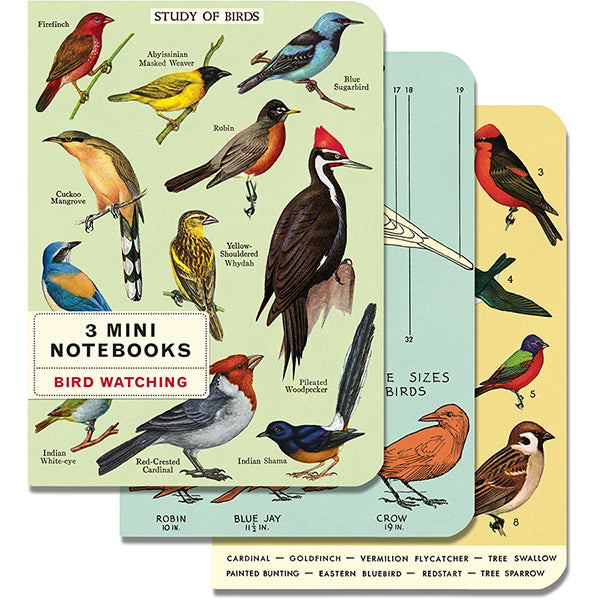 Set of 3 Mini Notebooks