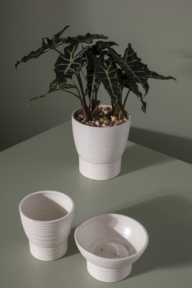 Olin Pot