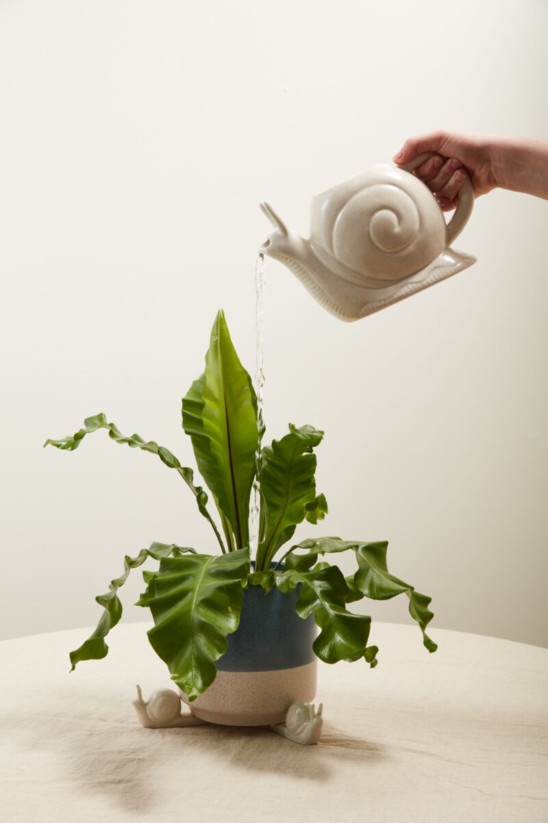 Slowpoke Watering Can