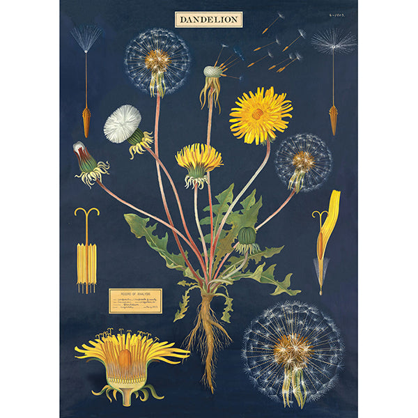 Vintage Botanical Poster