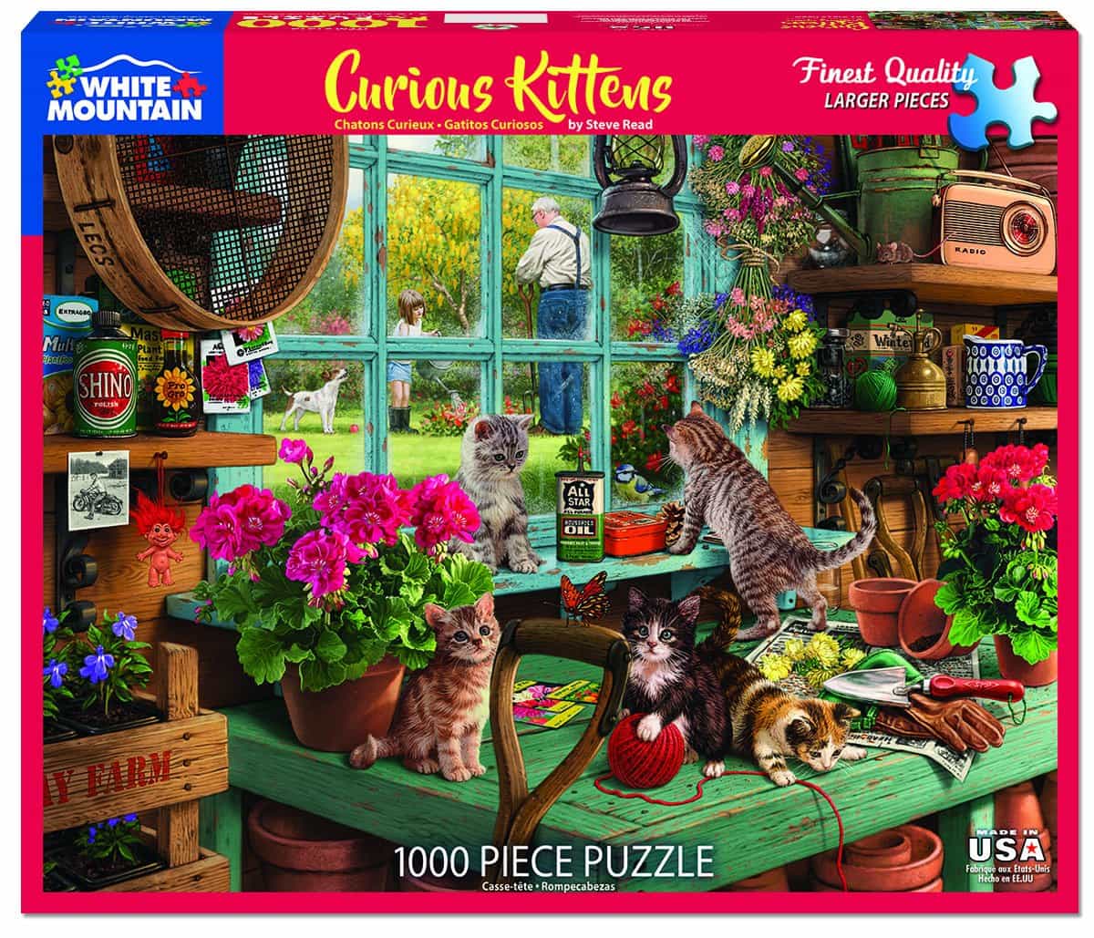 Curious Kittens Puzzle