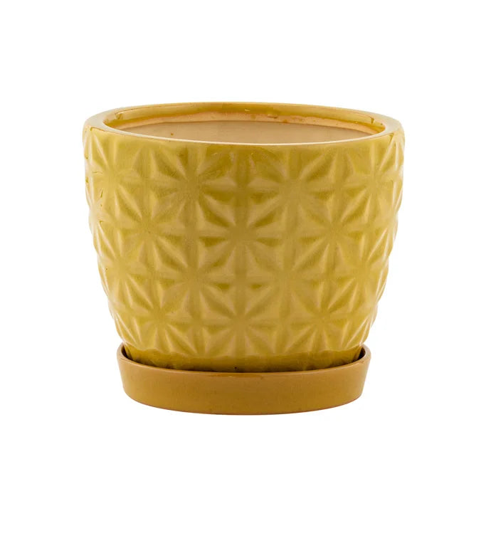 Yellow Tile Pot w/ Saucer