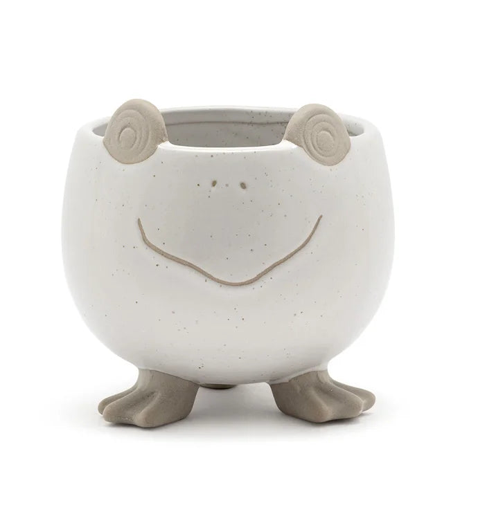 Frog Planter