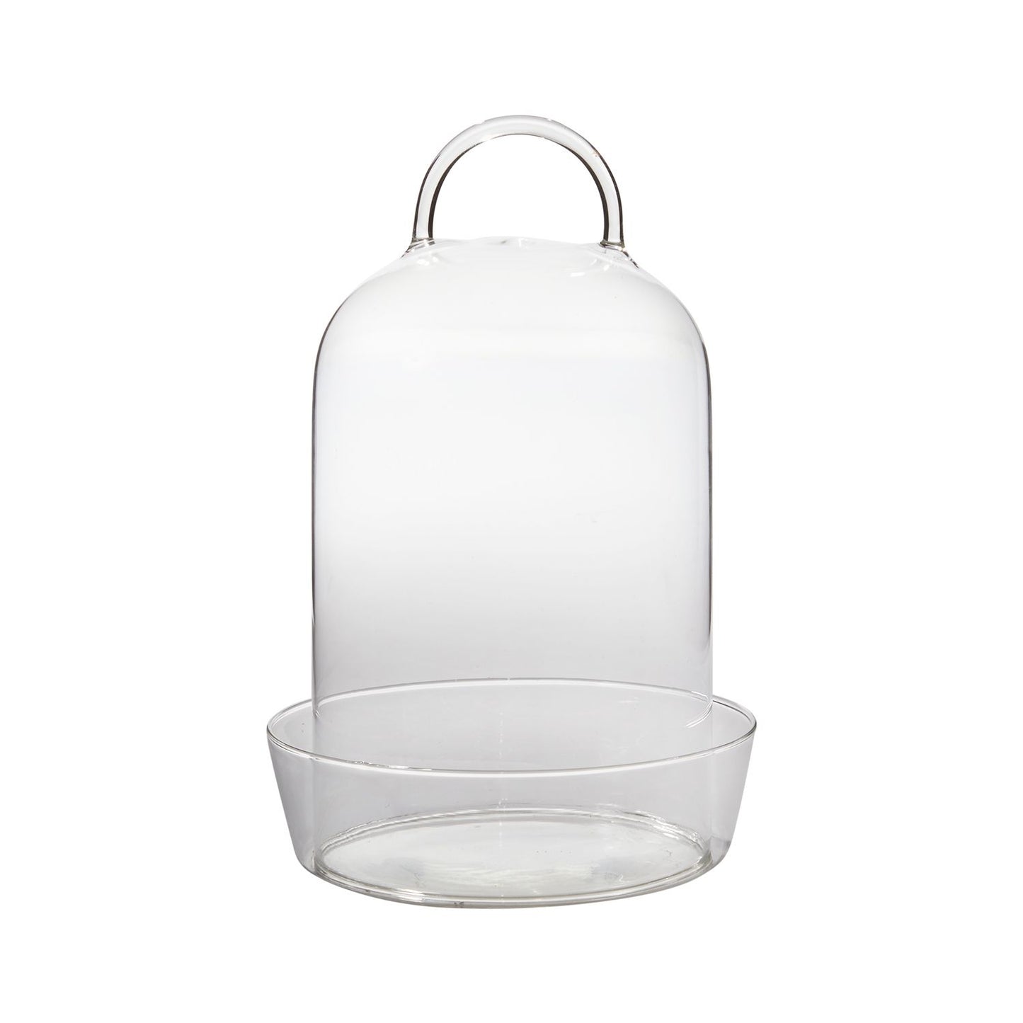 Venta Terrarium