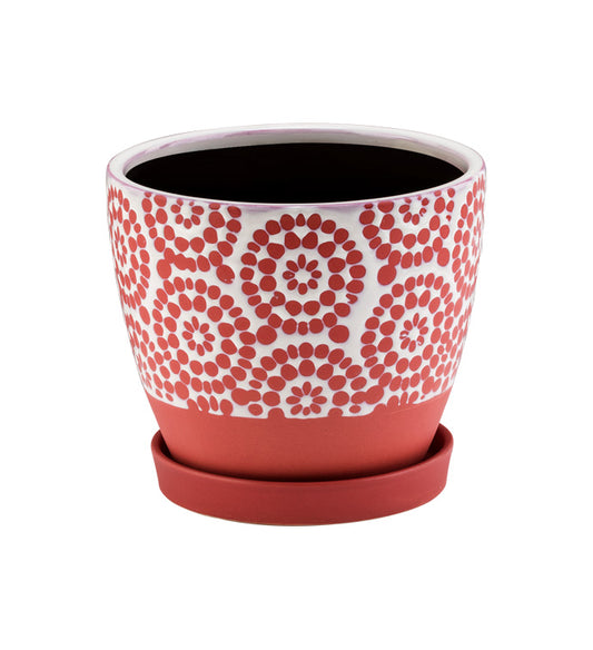 6" Watermelon/White Pot w/ Saucer