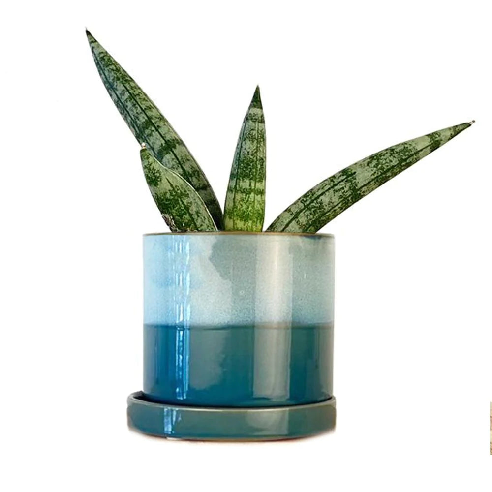 aqua blue plant pot Minute Pot & Saucer in Blue/Aqua