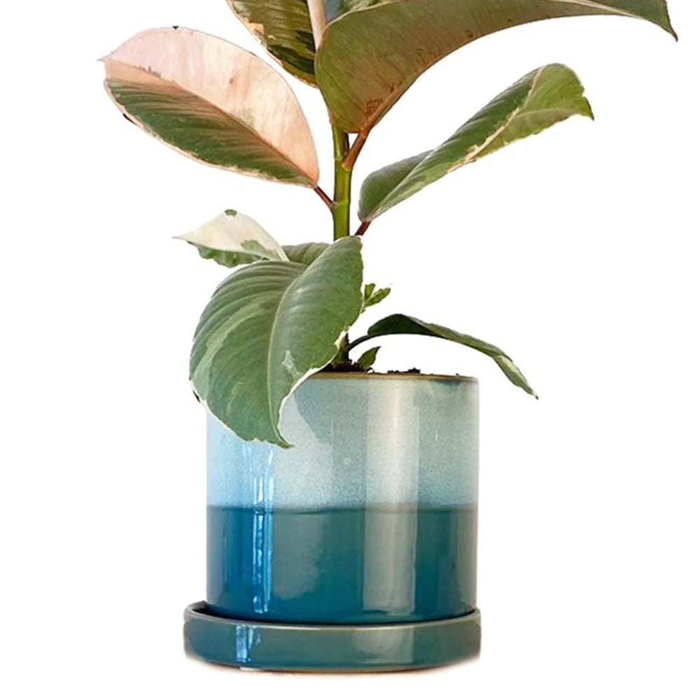 Minute Pot & Saucer in Blue/Aqua