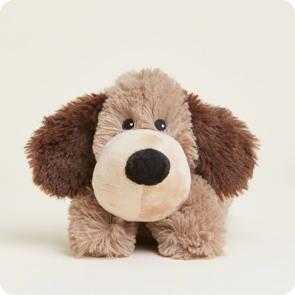 Brown Dog Warmies® Junior