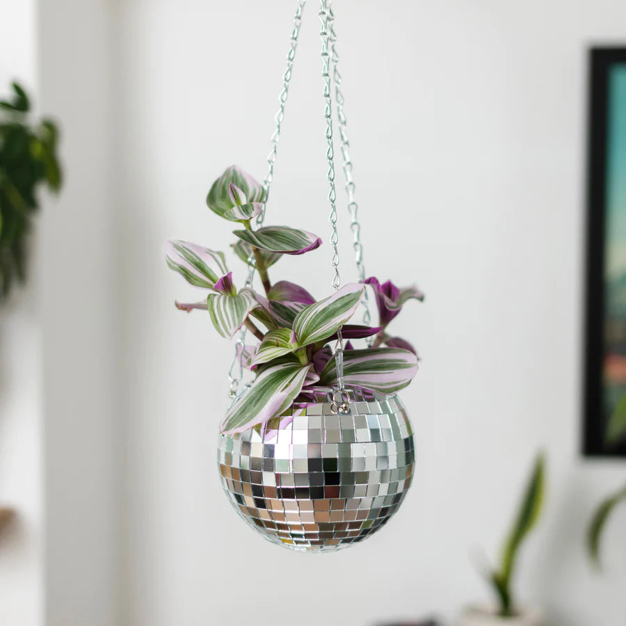 Disco Planter