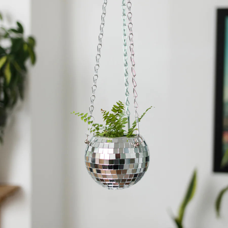 Disco Planter