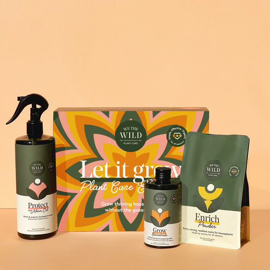 We The Wild Let It Grow Kit